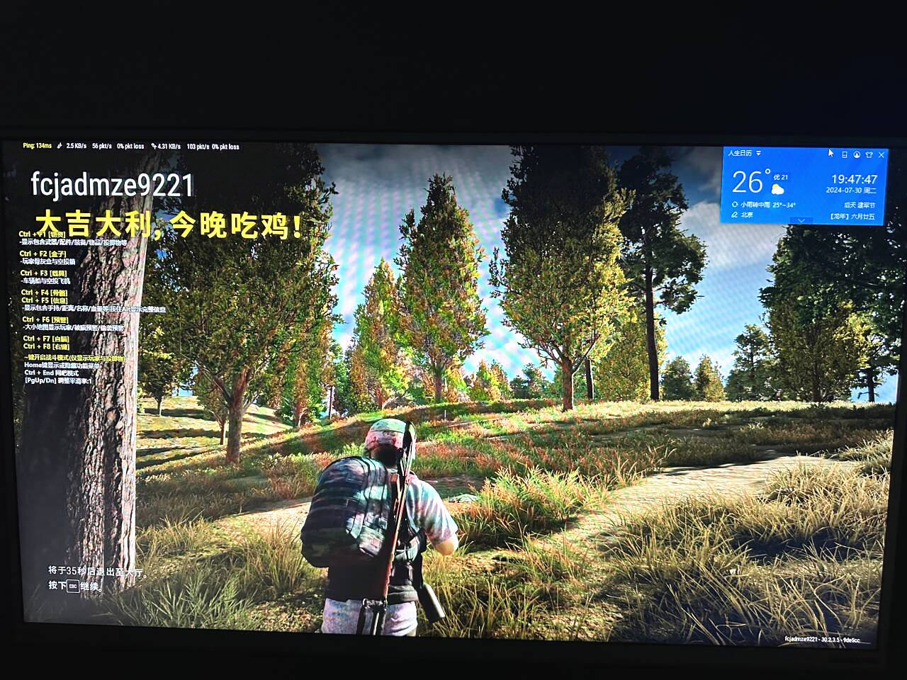 YY辅助效果图