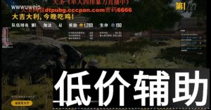 绝地求生大圣归来辅助：白号使用技巧助你轻松吃鸡称霸全网