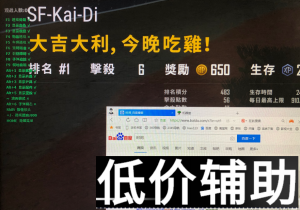 绝地求生机器猫辅助：透视自瞄子弹追踪瞬间击中实战解析
