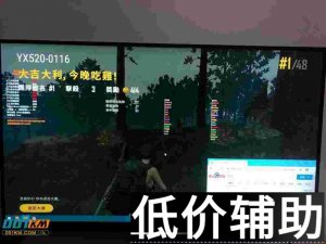 绝地求生海贼王诸神之怒辅助下载及使用教程